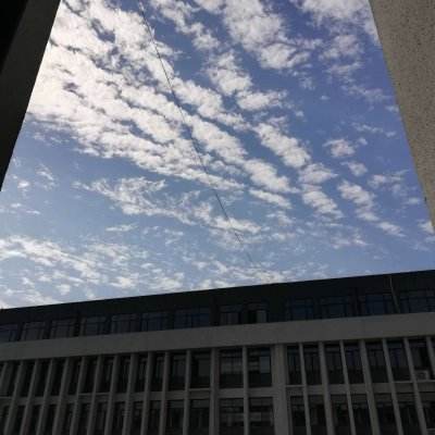 恐龙岛霸王龙恐龙世界大冒险下载